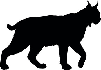 Lynx silhouette walking side view black and white © Collect Silhouettes