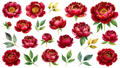 Luxurious Gold and Crimson Watercolor Peonies Collection Set