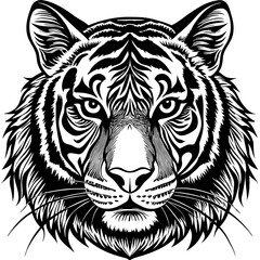 Tiger Head Vector Illustration