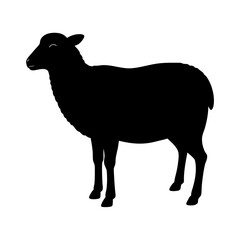 Silhouette of a Sheep