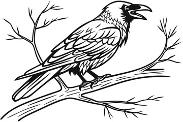 coloring page line art the shrike black vector