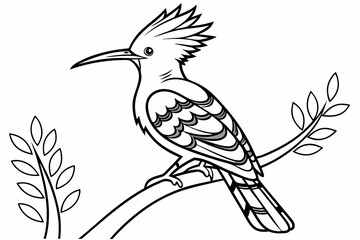 coloring page line art the hoopoe black vector