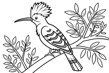 coloring page line art the hoopoe black vector