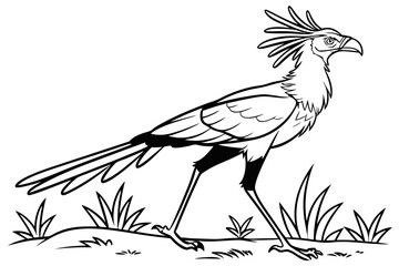 coloring page line art the secretary bird black vector