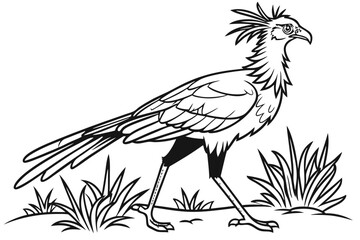 coloring page line art the secretary bird black vector