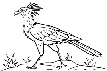 coloring page line art the secretary bird black vector