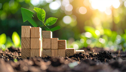 Wooden Blocks Forming Ascending Graph With Green Plant and Arrow