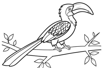 coloring page line art the hornbill black vector