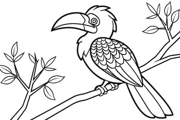 coloring page line art the hornbill black vector