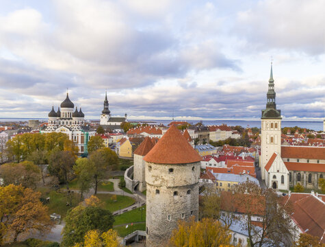 Aerial view of golden autumn hues paint the rooftops and trees surrounding the majestic Alexander Nevsky Cathedral and St. Olaf's Church, Tallinn, Harju County, Estonia.