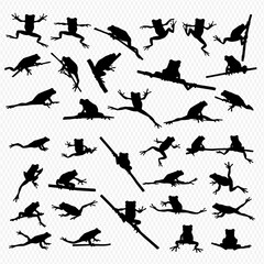 A collection of frog silhouettes in various poses, some perched on branches, others leaping, all set against a transparent background.