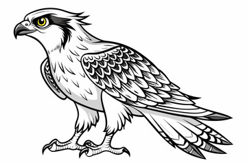 Obraz premium coloring page line art the osprey black vector