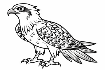 coloring page line art the osprey black vector