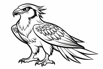 coloring page line art the osprey black vector
