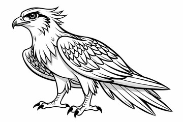 coloring page line art the osprey black vector