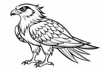 coloring page line art the osprey black vector