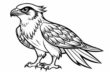 coloring page line art the osprey black vector