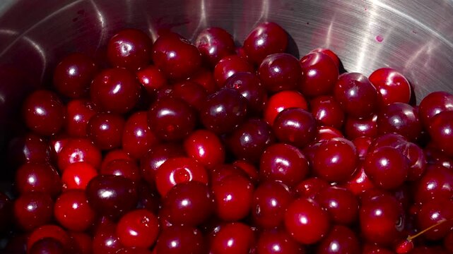 Cherry picking. Throwing cherries while picking, bowl full of cherries, slow motion 4k video. Picking sweet red berries.