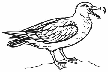 coloring page line art the skua black vector