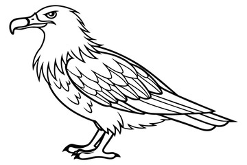 coloring page line art the skua black vector