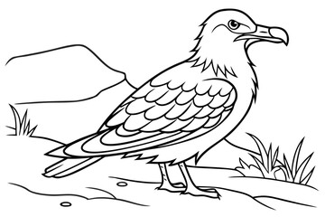 coloring page line art the skua black vector