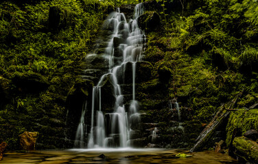 waterfall in the park