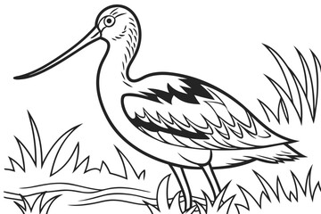 coloring page line art the avocet black vector