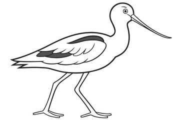 coloring page line art the avocet black vector