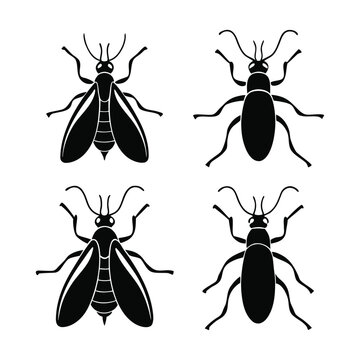 Sawfly Silhouette Vector Set in Solid Black on White

