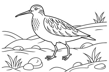 coloring page line art the sandpiper black vector