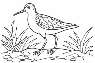 coloring page line art the sandpiper black vector