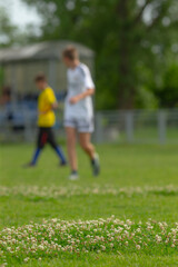 Fototapeta premium A somewhat blurry photograph capturing a group of people actively engaged in a game of soccer on a vibrant green field of grass