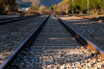 Naklejka premium railroad at the old station