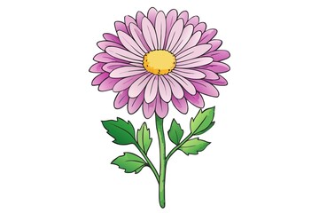 Pink Daisy Flower Illustration with Green Stem and Leaves on White Background