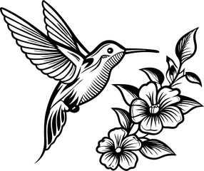 Obraz premium Detailed line art drawing of a hummingbird in flight sipping nectar from blooming flowers on white background