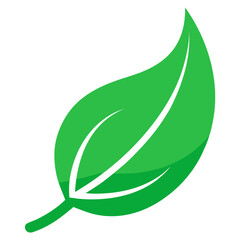green leaf icon