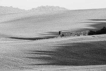 Black White Layers of Fields with Trees Shadows and Hunting Tower