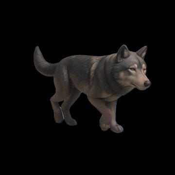 3D realistic wolf model animation isolated asset, transparent 4K video, alpha channel, ProRes 4444
