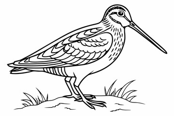 coloring page line art the snipe black vector