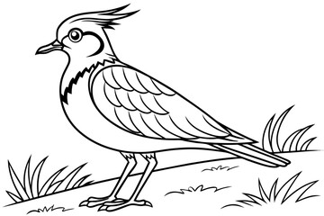 Fototapeta premium coloring page line art the lapwing black vector