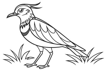 coloring page line art the lapwing black vector