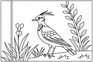 coloring page line art the lapwing black vector