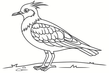Obraz premium coloring page line art the lapwing black vector