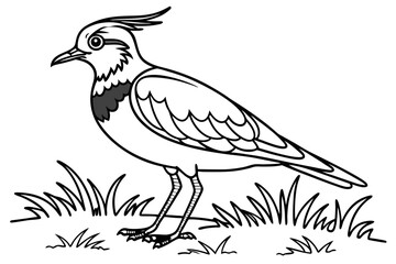 coloring page line art the lapwing black vector