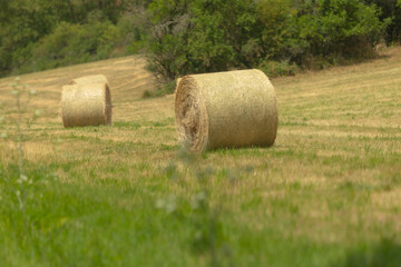 In a verdant grassy field, three large bales of hay are sitting quietly and peacefully,...