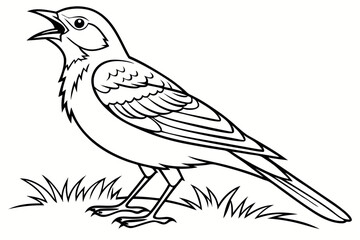 coloring page line art the lark bird black vector