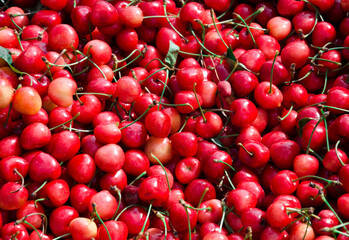 Assorted sweet cherries in vibrant colors — displayed local farmers market. Freshly picked seasonal fruits ideal for healthy snacking and summer recipes.
