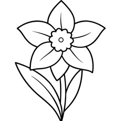 Simple daffodil flower outline design for coloring and decoration
