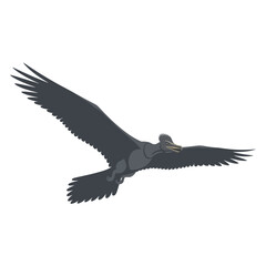 A stylized illustration of a dark bird soaring gracefully through the air, wings spread.