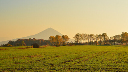 Misty Golden Morning Light over Green Field, Trees Alley and Hill in Background